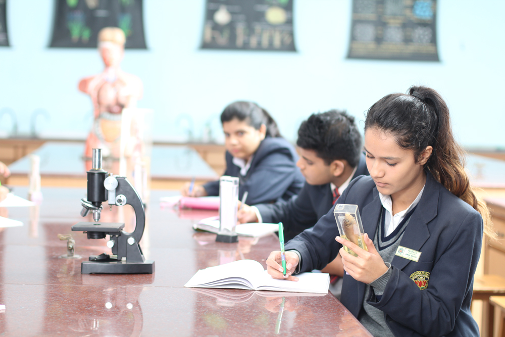 Amity International School, Pushp Vihar gallery 25